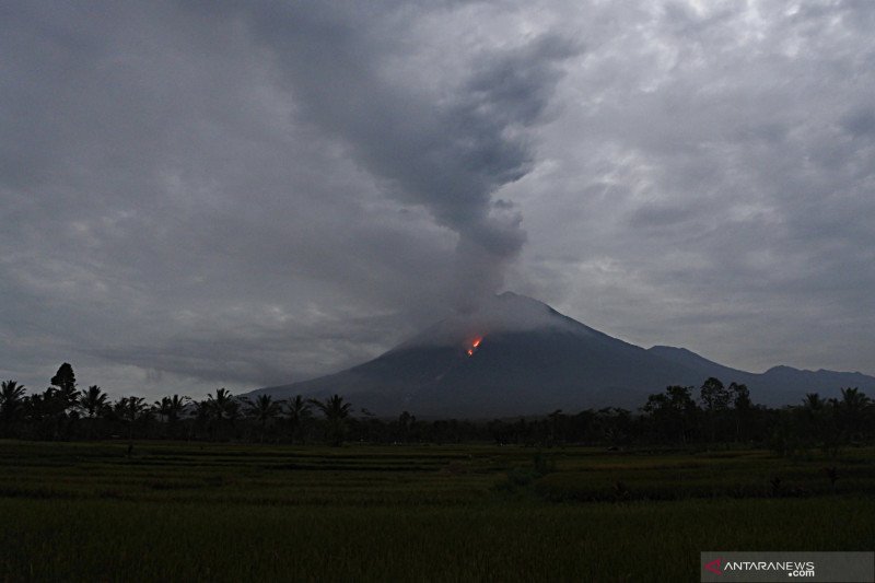 Guguran lava pijar Gunung Semeru teramati dari Kecamatan Candipuro, Lumajang, Jawa Timur, Selasa (1/12/2020). Aktivitas Gunung Semeru meningkat dalam lima hari terakhir, antara lain ditandai dengan adanya guguran lava pijar dari Kawah Jonggring Saloko. (ANTARA FOTO/Seno/foc)