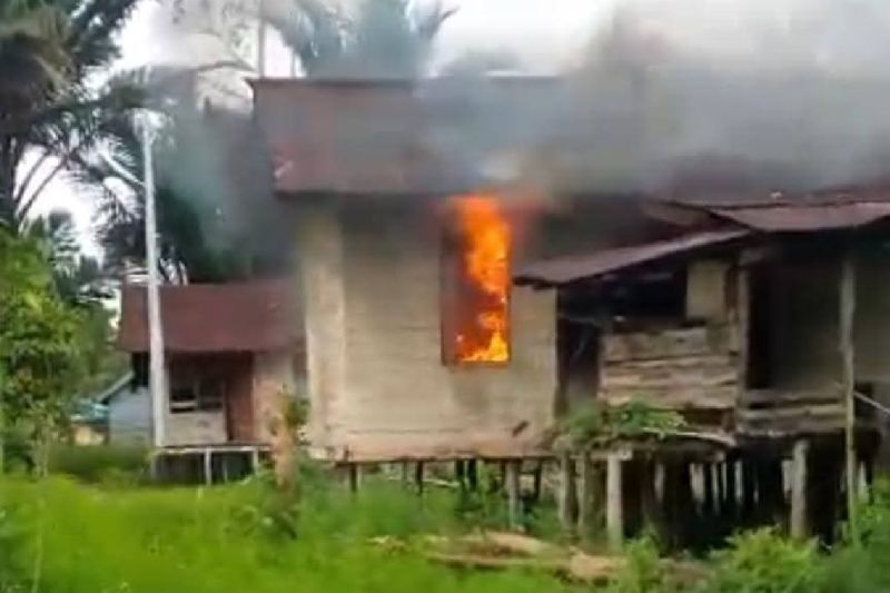 KKB Pimpinan Elkius Kobak Kembali Berulah, Tembak dan Bakar Rumah Korban seperti Dilaporkan Kaops Satgas Damai Cartenz