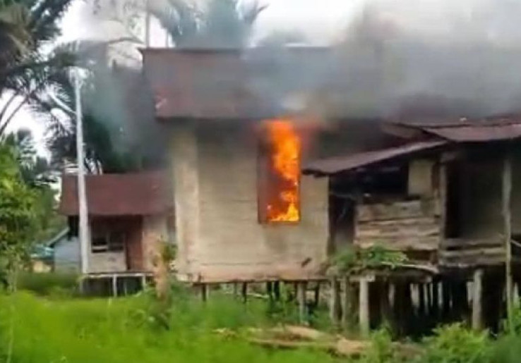 KKB Pimpinan Elkius Kobak Kembali Berulah, Tembak dan Bakar Rumah Korban seperti Dilaporkan Kaops Satgas Damai Cartenz
