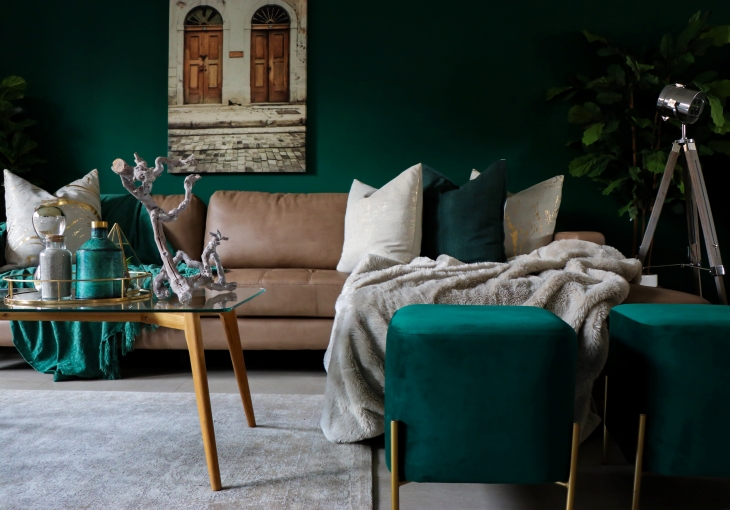 Hijau melambangkan warna yang menenangkan. (Foto: Unsplash/Devon Janse Van Rensburg)