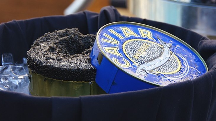 Fakta-Fakta Caviar, Telur dari Ikan Langka