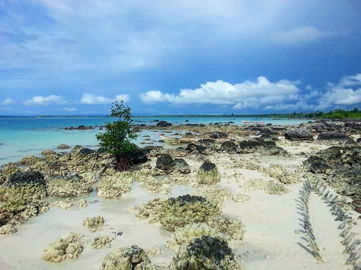 Pantai ini punya biota laut yang beragam (Instagram/merdlicious)