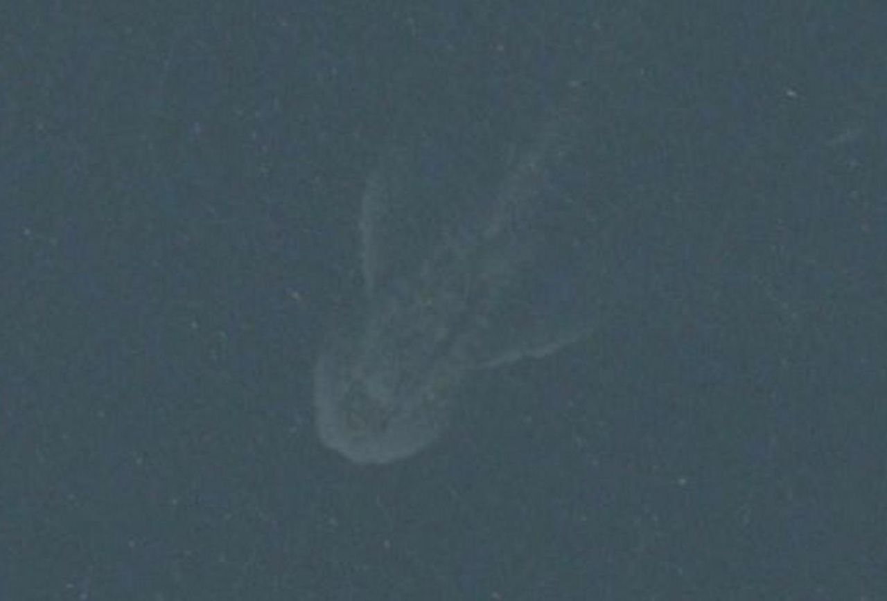 Monster Loch Ness, Fakta atau Mitos?