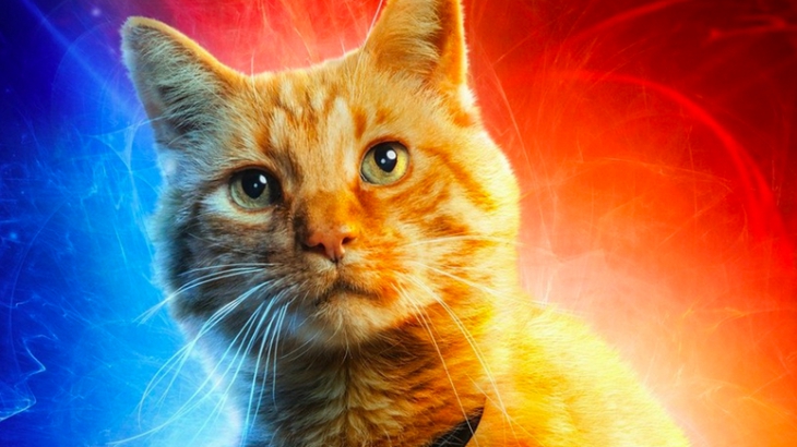 5 Fakta Menarik Tentang Goose si Kucing di Film Captain Marvel
