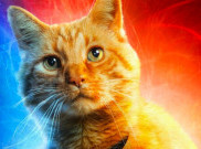 5 Fakta Menarik Tentang Goose si Kucing di Film Captain Marvel