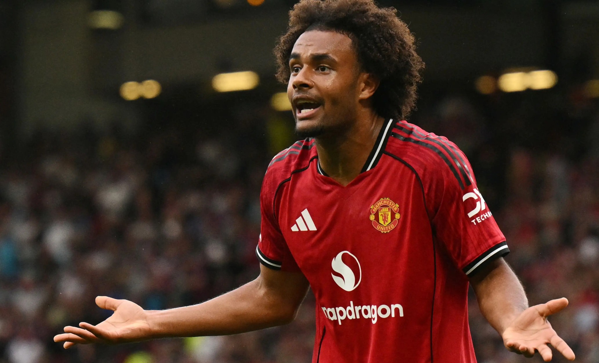 Amorim Butuh Striker Baru, Joshua Zirkzee Masuk Radar AC Milan untuk Bursa Transfer Januari