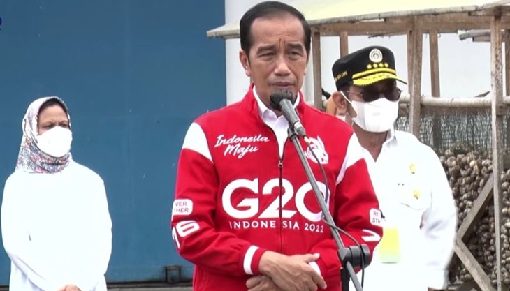 Komoditas Pinang Biji Bakal Jadi Andalan Jokowi untuk Produk Ekspor