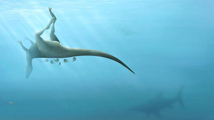 dinosaurus