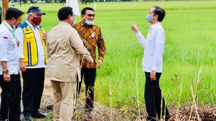 Jadi 