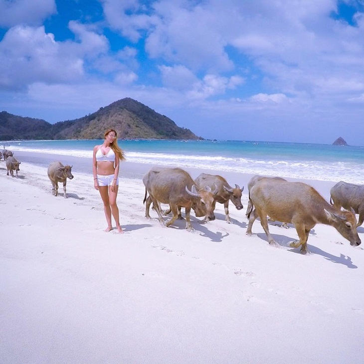 Pantai Selong Belanak. (Foto: instagram.com/spolupoznatsvet)