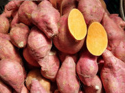 Jangan Simpan Ubi di Kulkas