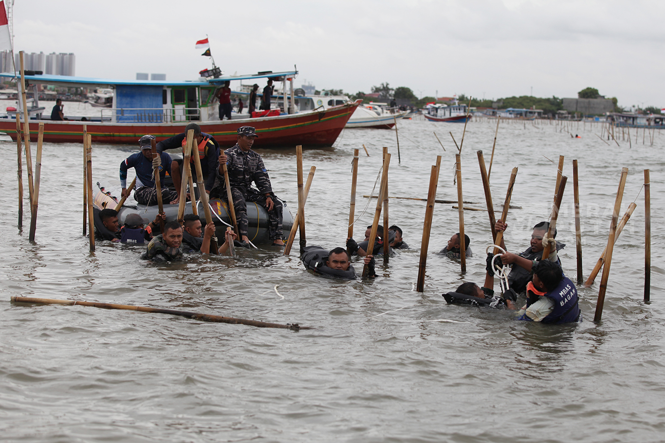 Pasukan Katak Marinir TNI AL mencabut pagar laut sepanjang 30 KM di Perairan Utara Tanjung Pasir, Kabupaten Tangerang, Banten, Rabu (22/1/2025).