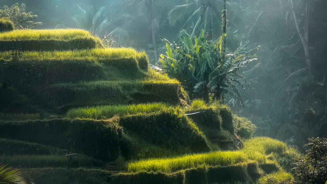 Pesta Bergoyang Bakal Jadi Daya Tarik Baru Pariwisata Bali