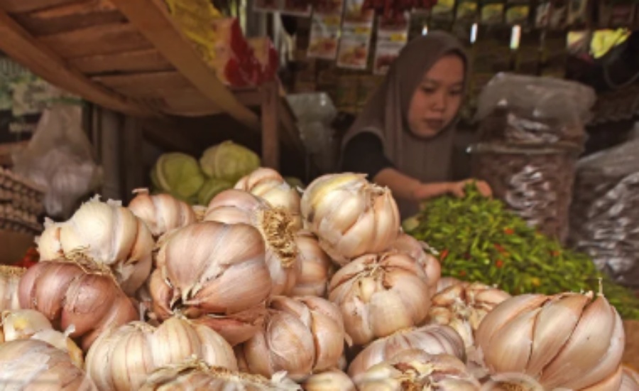 Harga Bawang Putih Melambung, Importir Malas Terancam Kena Penalti
