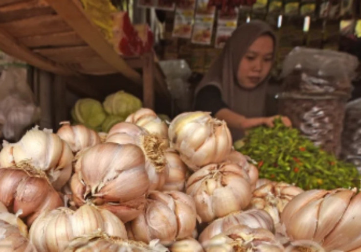 Indonesia Kesulitan Negosiasi Harga Bawang Putih Impor, Padahal Harga di China Cenderung Turun