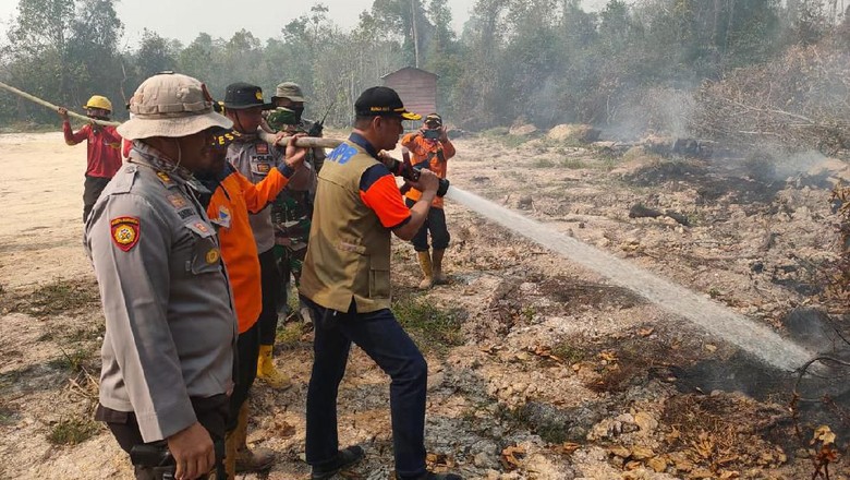 Kebakaran Hutan