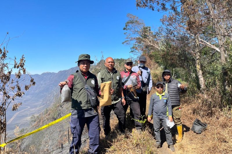 Kemenhut Cari Dalang Kebakaran Hutan di Bromo, Tim Ahli Diterjunkan
