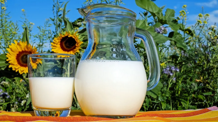 Manfaat dan Efek Samping Mengonsumsi Susu Nabati
