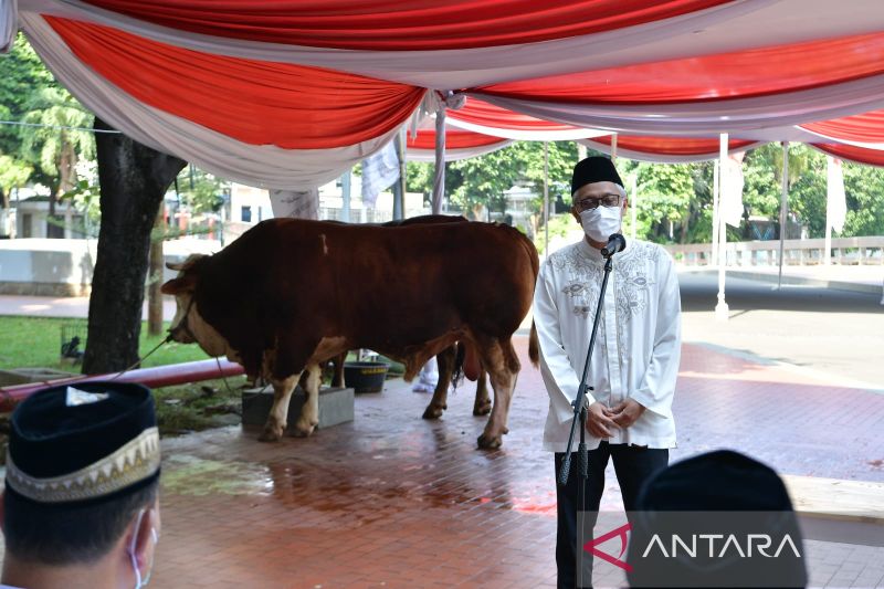 Wapres Kurban 18 Sapi dan 7 Ekor Kambing