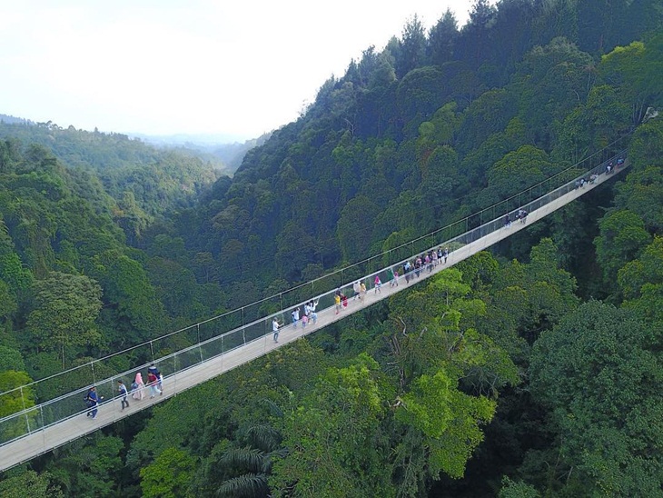 Jembatan Gantung Situ Gunung dari atas ketinggian. (Foto: instagram.com/situgunungsuspensionbridge)