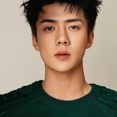 Sehun punya cara lain memanfaatkan uangnya (Foto: Vogue)