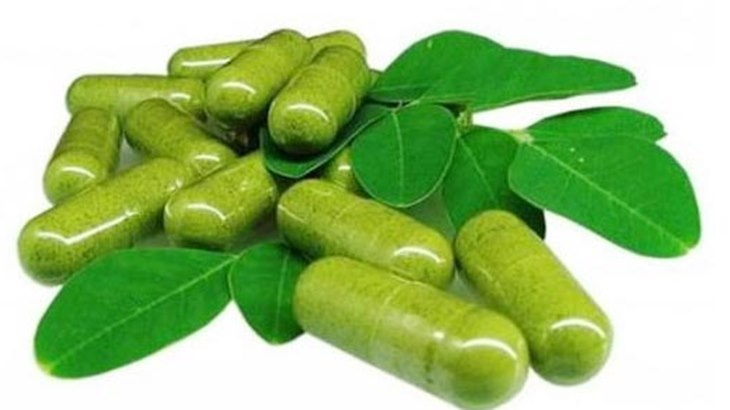 Manfaat Daun 'Ajaib' Kelor