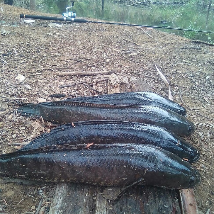 https://(Foto: https://www.instagram.com/angler_aldi/)