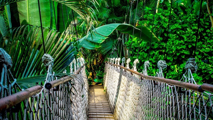 Bingung Liburan ke Mana? Berikut Ini Tempat-tempat Asyik saat Musim Hujan