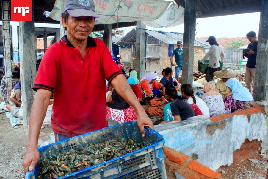 Perajin Kerang Hijau Pantai Ketapang Keluhkan Harga Jual ke Tengkulak