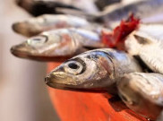 5 Jenis Ikan Tinggi Protein