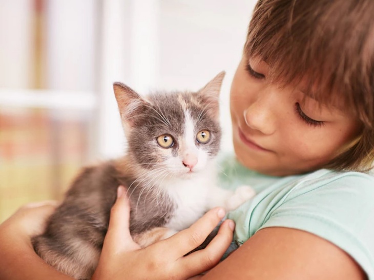 Kucing Tahu Jika Pemiliknya Mengajak Bicara