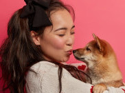 Anjing dapat Mendeteksi Stres dari Bau Napas Pemiliknya