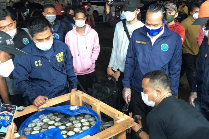 BNN Gagalkan Penyelundupan 450 Kilogram Ganja Dalam Paralon di Bogor