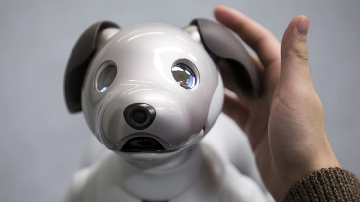 Sony akan Hadirkan Fitur Baru pada Robot Anjing Aibo 