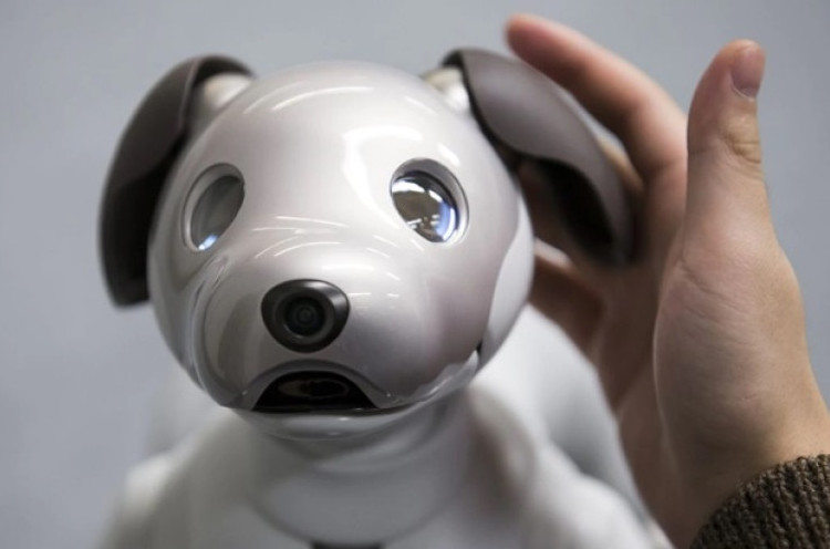 Sony akan Hadirkan Fitur Baru pada Robot Anjing Aibo 