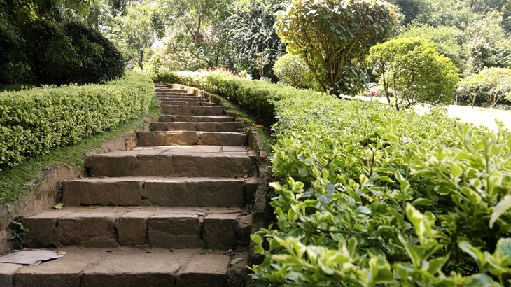   Kebun teh di Kandy. (Foto: Pixabay/Marinee)
