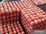 Harga Telur Capai Rp 40 Ribu Per Kilogram