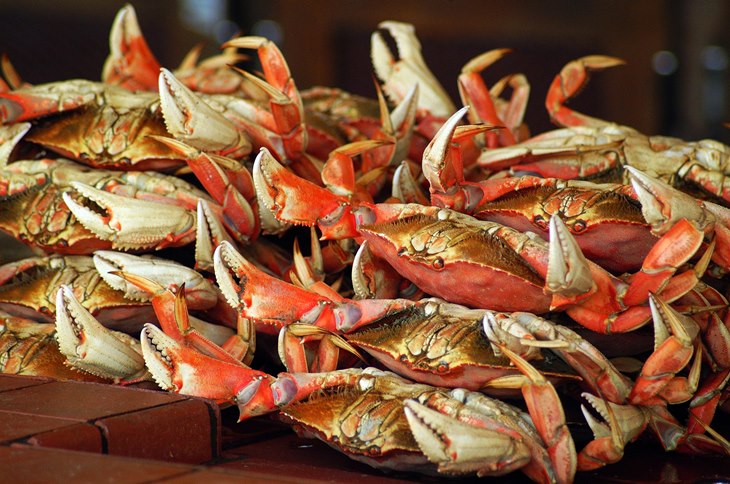 kepiting