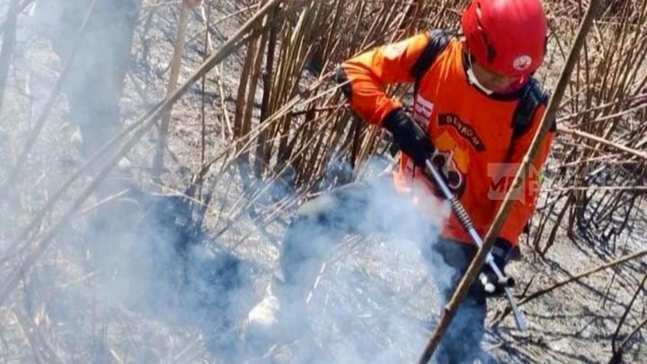 Kebakaran Gunung Lawu Meluas, 490 Hektare Hutan Terbakar dan Api Dekati Mata Air Warga