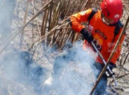 Kebakaran Gunung Lawu Meluas, 490 Hektare Hutan Terbakar dan Api Dekati Mata Air Warga