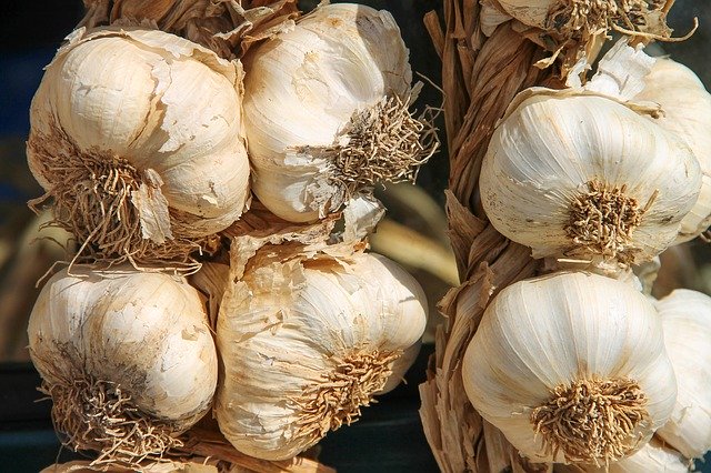 Bawang putih mengandung sel T. (Foto: pixabay/manfredrichter)