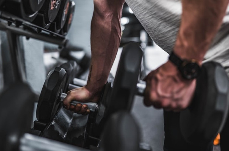 Sudah Rajin Nge-Gym, Kenapa Otot Tak Kunjung Terbentuk?