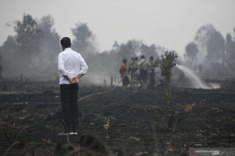 Jokowi Takut Ada Gubernur, Pangdam, Kapolda Baru. Kenapa?