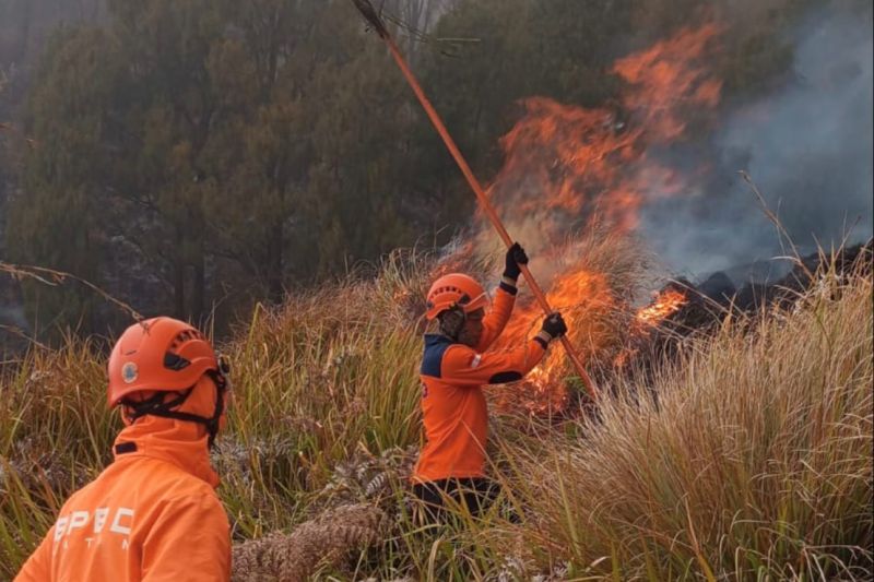 Kronologi Meninggalnya 3 Orang Pemadam dan Relawan Saat Padamkan Karhutla Gunung Bromo