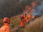 Kronologi Meninggalnya 3 Orang Pemadam dan Relawan Saat Padamkan Karhutla Gunung Bromo