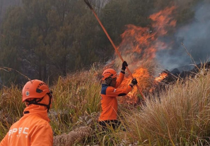 Kronologi Meninggalnya 3 Orang Pemadam dan Relawan Saat Padamkan Karhutla Gunung Bromo