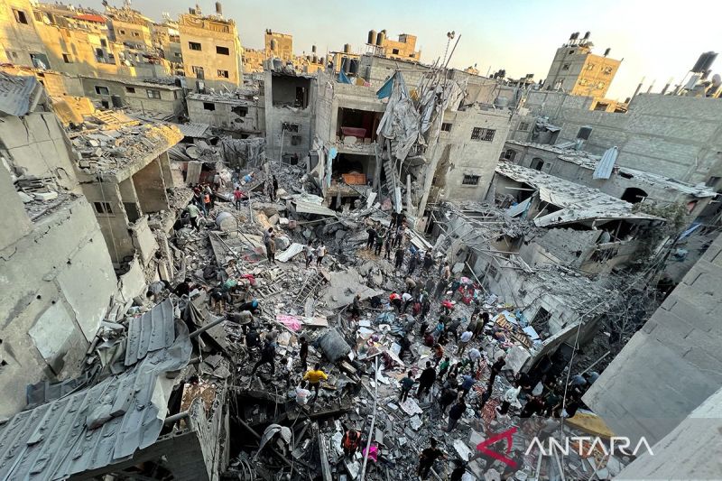 Duka Hewan dalam Konflik Israel - Hamas