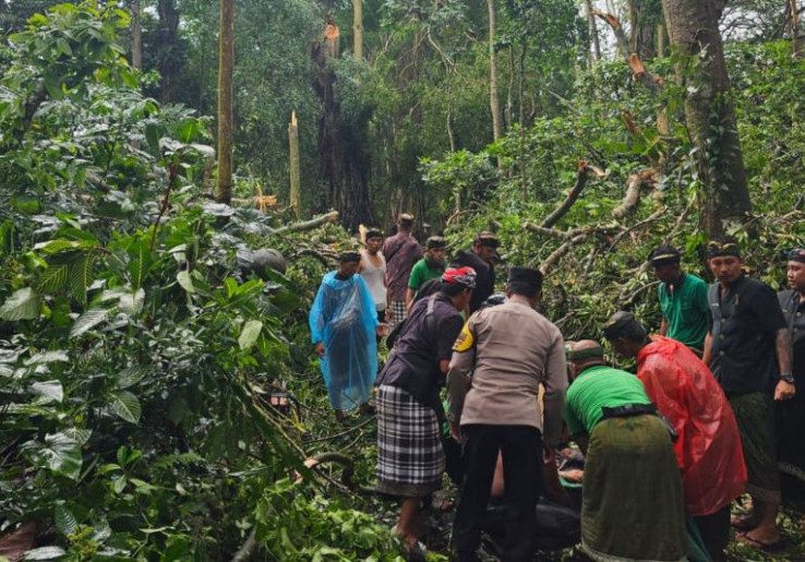 Imbas 2 Turis Tewas, Monkey Forest Bali Bisa Tutup Sampai Tahun Baru