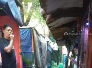 Imbas PPKM Darurat, Penjual Ikan Hias di Menteng Cuma Dapat Uang Rp 20 Ribu