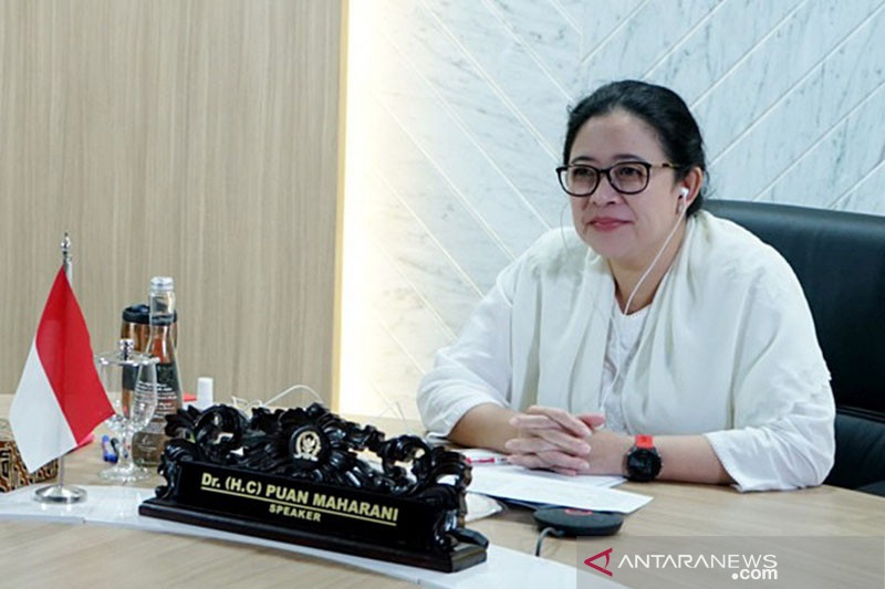 Ketua DPR RI Dr. (H.C) Puan Maharani. (ANTARA/HO-dpr.go.id/pri)